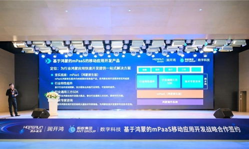 雙向奔赴，共創未來 螞蟻數科與潤開鴻戰略合作，發布mPaaS移動應用開發產品，助力揚州軟件產業發展
