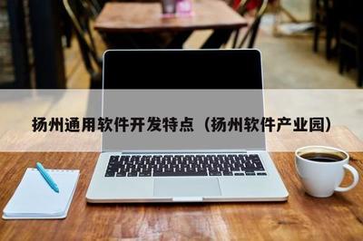 揚州軟件產(chǎn)業(yè)園 網(wǎng)絡(luò)技術(shù)服務(wù)的核心與通用軟件開發(fā)特點解析